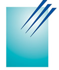 Professional Investment Services